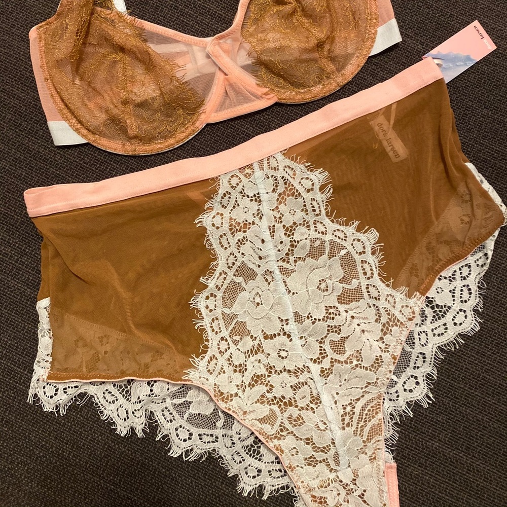 NWT Dora Larsen Annette High Waisted Briefs M
